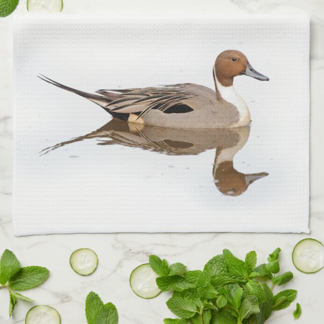 Reflections of a Northern Pintail Duck Towel (Folded)