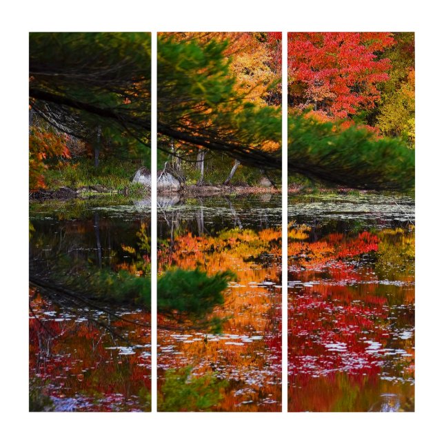 Reflections of Autumn in New Hampshire Triptych (Front)