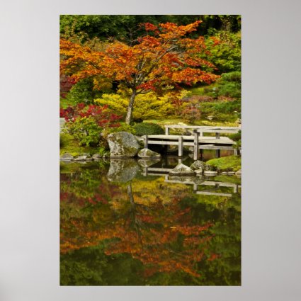 Reflections of Autumn poster