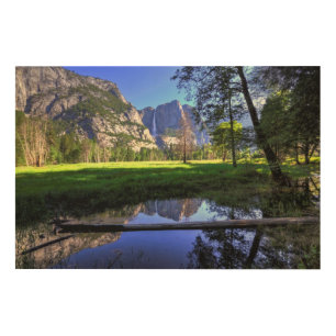 Reflections of Falls Wood Wall Art