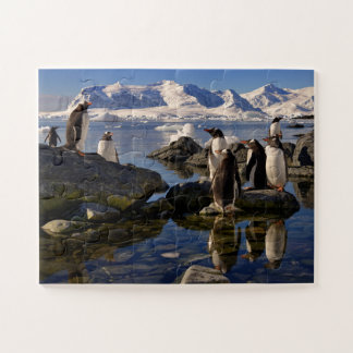 Reflections of Gentoo Penguins in Antarctica Jigsaw Puzzle