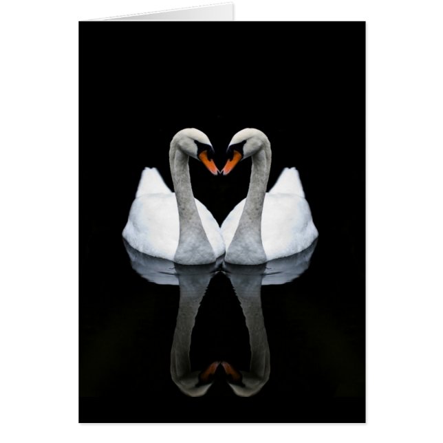 Reflections of Love, Heart Shape, White Swans (Front)