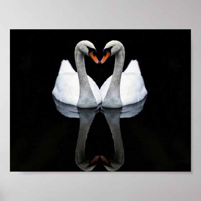 Reflections of Love, Heart Shape, White Swans Poster (Front)