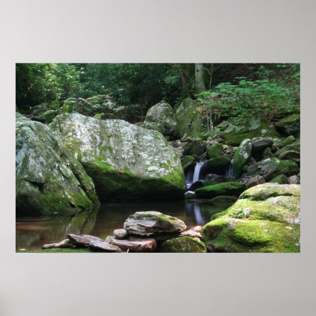 Reflections of Mineral Creek Poster (Front)