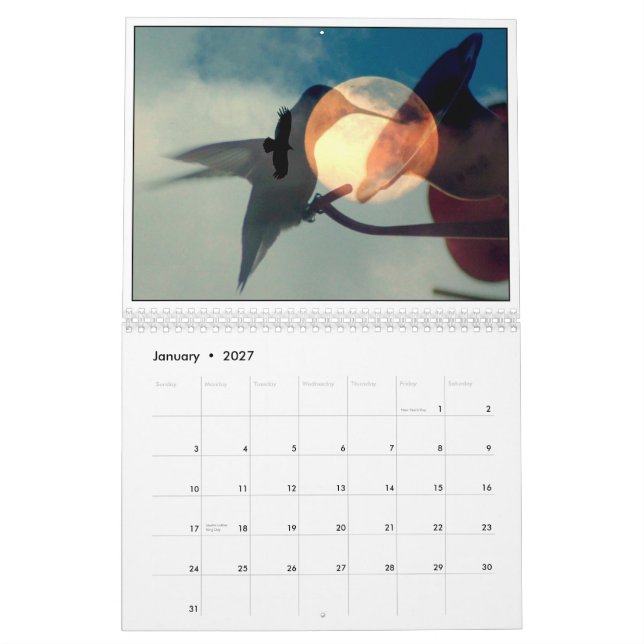 Reflections of Nature Calendar (Jan 2027)