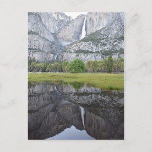 Reflections of Yosemite Falls Postcard