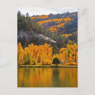 Reflections on Autumn in Dolores Postcard