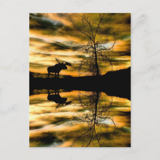 Reflections Post Card