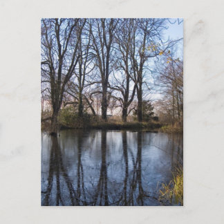 Reflections Postcard #1