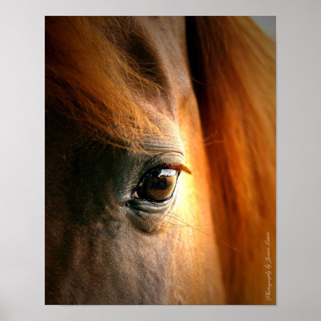 Reflections Poster (Front)