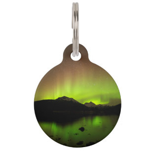 Reflective Aurora Pet ID Tag