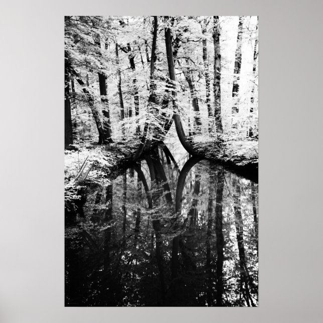 Reflective Contrast wapcna Poster (Front)