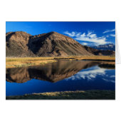 Reflective Isolation (Front Horizontal)