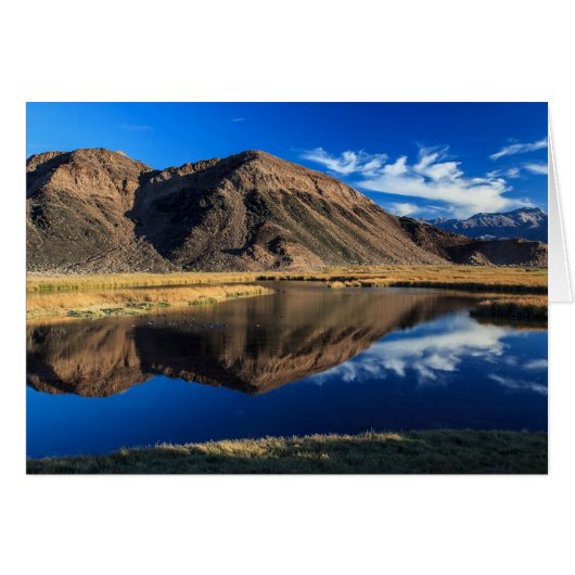Reflective Isolation Cards (Front Horizontal)