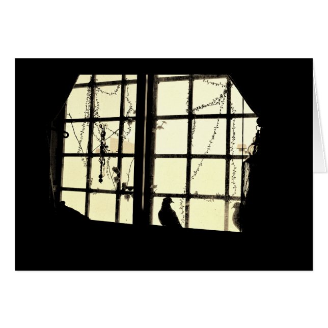 Reflective Pigeon Cards (Front Horizontal)