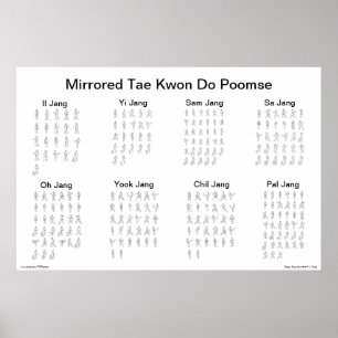 Reflective Poomse Mastery Poster: Elevate Your Tae Poster