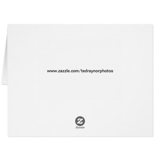 Reflective Portage Lake (Back Horizontal)