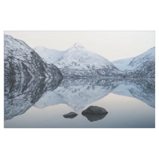 Reflective Portage Lake Fabric