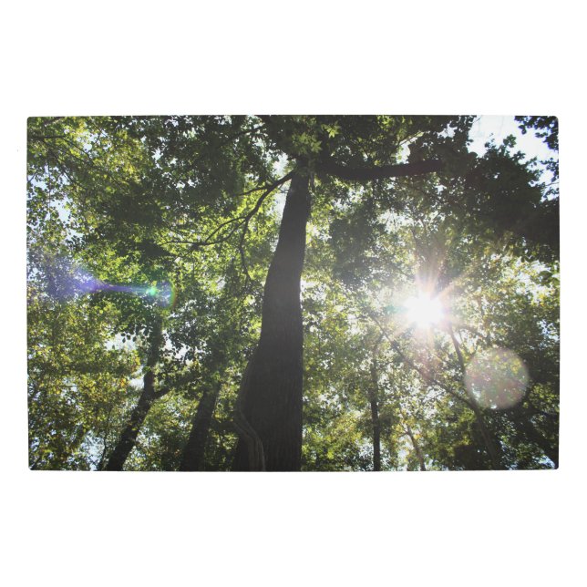 Reflective Sunshine Metal Wall Art (Front)