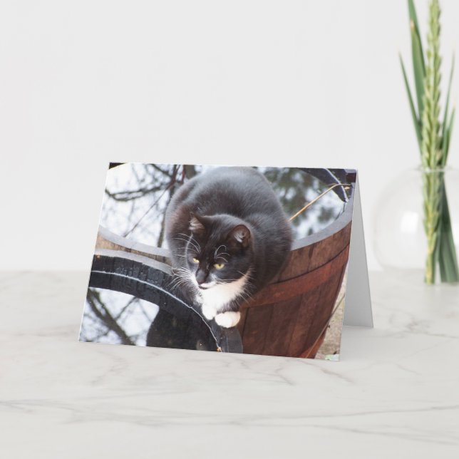 Reflective Tuxedo Cat on Barrels note cards (Front)