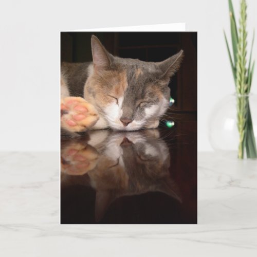 Refletive Kitty Card