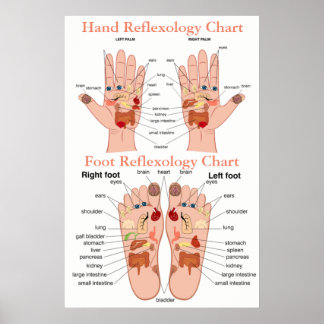 Reflexology Chart 20X30"