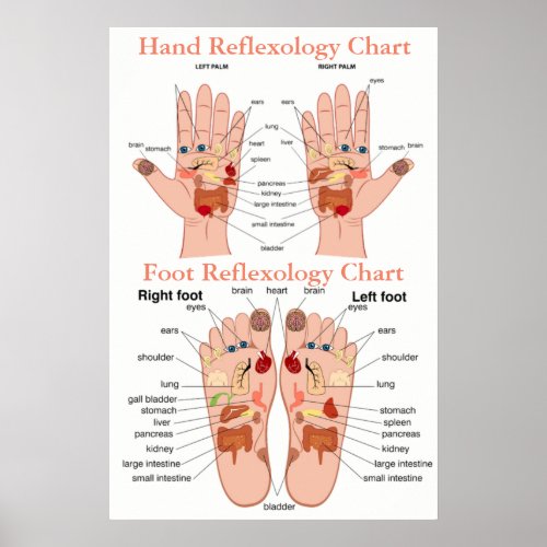 Reflexology Chart 20X30