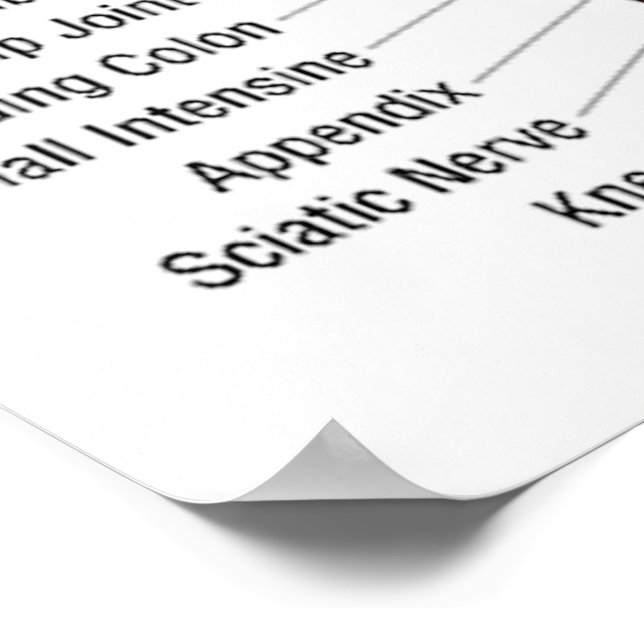 Reflexology Chart 30X40" (Corner)