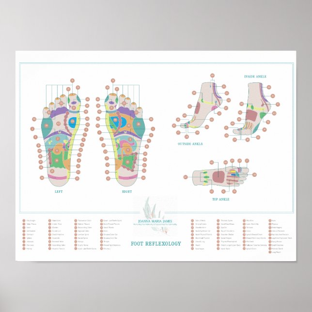 Reflexology Foot Chart (Front)