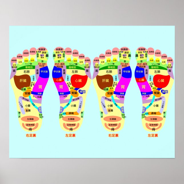 reflexology foot map poster (Front)