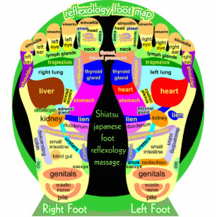 reflexology foot map statuette