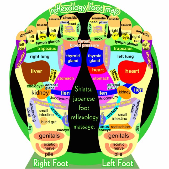 reflexology foot map statuette (Front)