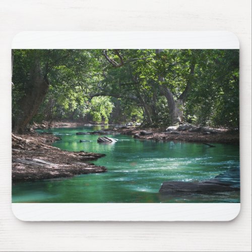 Refreshingly Absorbing Jungles of Amazon River Mouse Pad