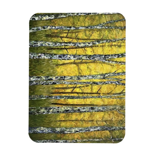 Refrigerator Magnet - Acadia Forest of Birch Trees (Vertical)