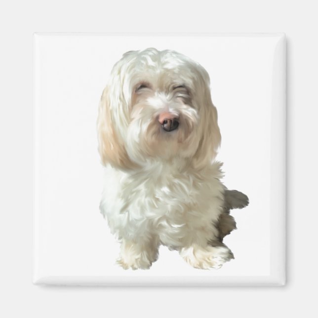 Refrigerator Magnet Havanese Dog (Front)