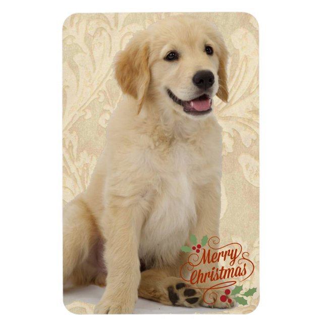 Refrigerator Magnet Pet's Photo Template Christmas (Vertical)