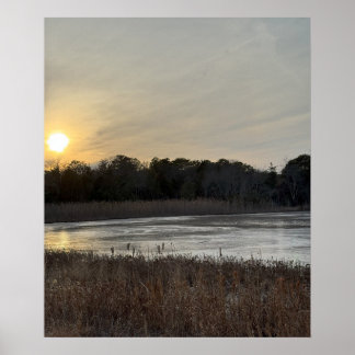 Refuge Frozen Pond Poster