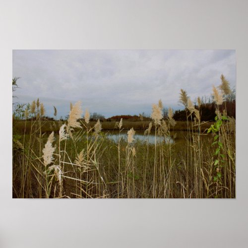 Refuge Waterscape Photo Poster