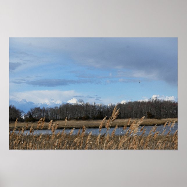 Refuge Waterscape Poster (Front)