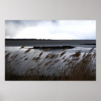 Refuge Waterscape Poster