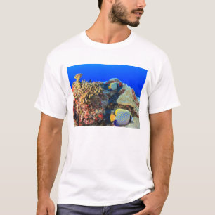 Regal Angelfish Pygoplites diacanthus), T-Shirt