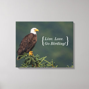 Regal Bald Eagle Canvas Print