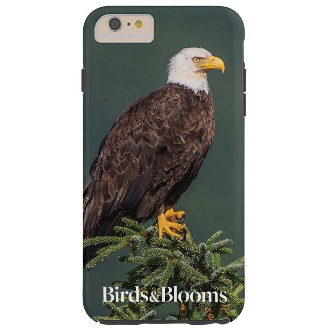 Regal Bald Eagle Case-Mate iPhone Case (Back)