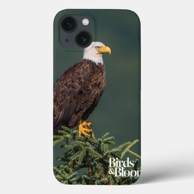 Regal Bald Eagle Case-Mate iPhone Case (Back)