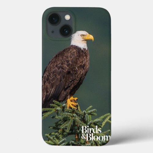 Regal Bald Eagle iPhone 13 Case