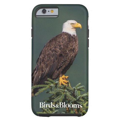Regal Bald Eagle Tough iPhone 6 Case