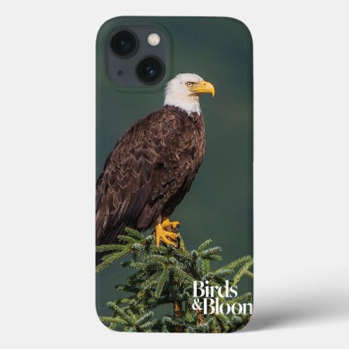 Regal Bald Eagle iPhone 13 Case