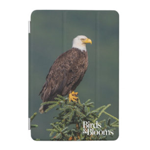 Regal Bald Eagle iPad Mini Cover