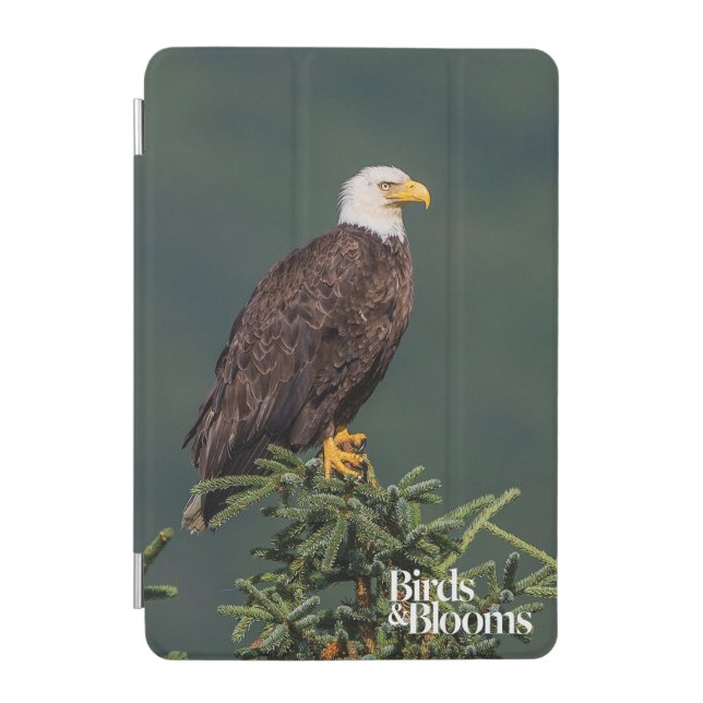 Regal Bald Eagle iPad Mini Cover (Front)