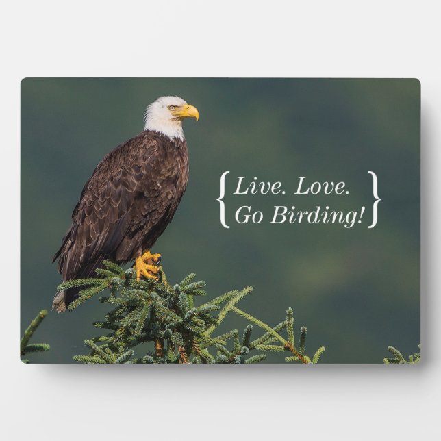 Regal Bald Eagle Plaque (Front)